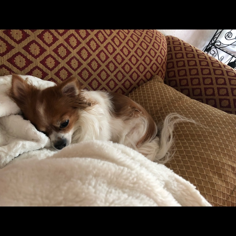 Meet your Posher, Crystal